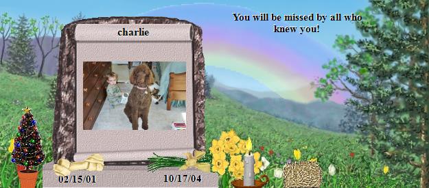 charlie's Rainbow Bridge Pet Loss Memorial Residency Image